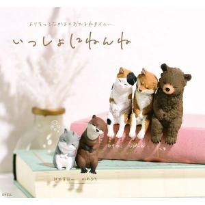 【新品】エール いっしょにねんね：BOX《10個入》
