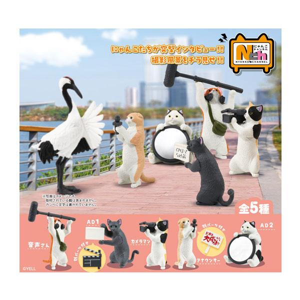 【新品】エール にゃんこチャンネル：BOX《10個入》