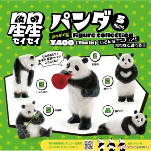 星星フィギュアコレクション BOX版 12個入りBOX