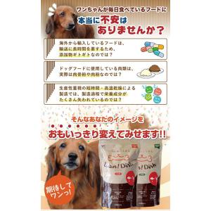 【新品】オーシーファーム ワンディッシュ 小粒...の詳細画像2