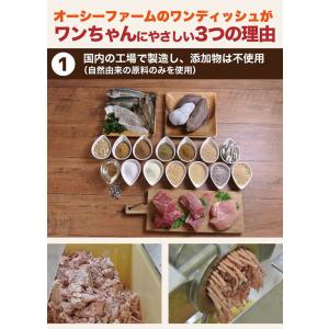 【新品】オーシーファーム ワンディッシュ 小粒...の詳細画像3