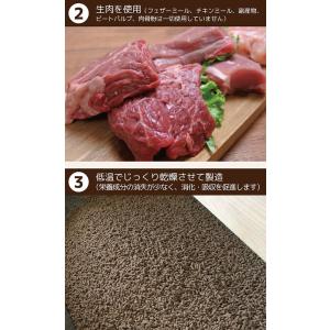 【新品】オーシーファーム ワンディッシュ 小粒...の詳細画像4