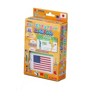 【新品】ポケットピクチュアカード こっきずかん｜arc-online