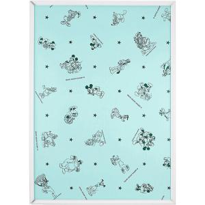 ディズニー専用セーフティーパネル 1000ピース用 ( 1コ入 ) : 爽快