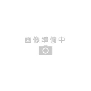 【新品】D1000-916車窓のソワレ(2027年カレンダー ジグソーパズル)