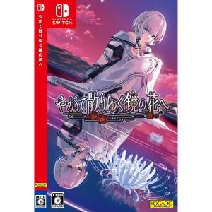 新品】Switch 白昼夢の青写真 コレクターズ・ボックス : アーク