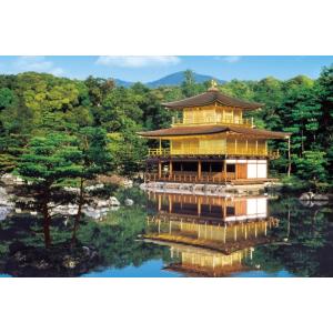 【新品】ジグソーパズル 新緑の金閣寺-京都 1000ピース(50x75cm)