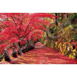 エポック社（EPOCH） 【新品】ジグソーパズル 日本風景 横浜夜景と絢爛