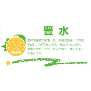 販促シール 食品シール 催事シール デコシール ギフトシール 業務用シール　青果 梨 豊水 LZ39...