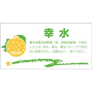 販促シール 食品シール 催事シール デコシール ギフトシール 業務用シール　青果 梨 幸水 LZ39...