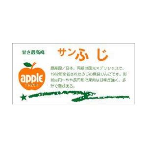 販促シール 食品シール 催事シール デコシール ギフトシール 業務用シール　青果 りんご サンふじ ...