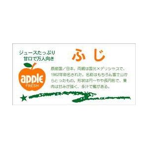 販促シール 食品シール 催事シール デコシール ギフトシール 業務用シール　青果 りんご ふじ LZ...