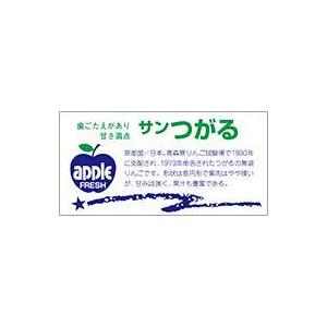 販促シール 食品シール 催事シール デコシール ギフトシール 業務用シール　青果 りんご サンつがる...