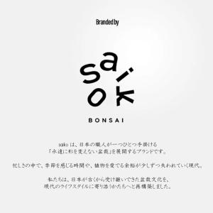 SAIKO BONSAI 盆栽 枯れないインテ...の詳細画像3