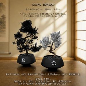 SAIKO BONSAI 盆栽 枯れないインテ...の詳細画像4