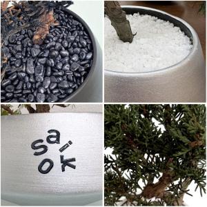 SAIKO BONSAI 盆栽 枯れないインテ...の詳細画像5