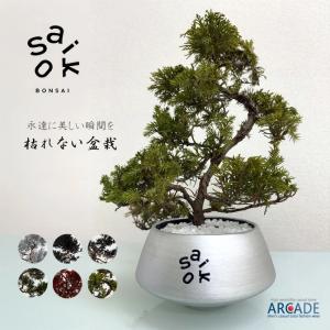現代小鉢：青香 楕円浅鉢 10.2cm*seika : 遊恵盆栽 Yahoo!店 - 通販