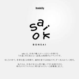 SAIKO BONSAI 盆栽 枯れないインテ...の詳細画像3