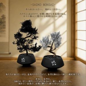 SAIKO BONSAI 盆栽 枯れないインテ...の詳細画像4