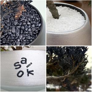SAIKO BONSAI 盆栽 枯れないインテ...の詳細画像5