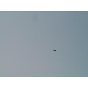 グラマン 「F8F」F8F 1/20 リブ・胴...の詳細画像4