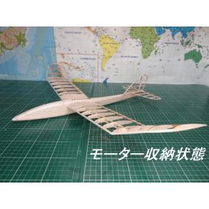 【航空法規制外】「サフラン」モーターグライダー...の詳細画像5