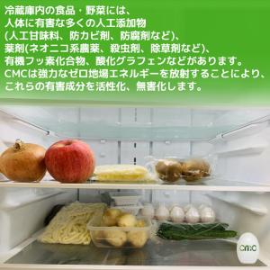 CMC たまご 冷蔵庫用食品活性化材 カーボン...の詳細画像2