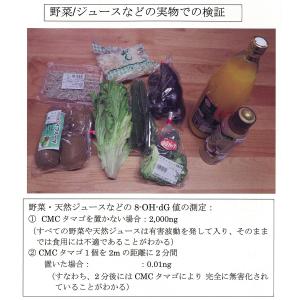 CMC たまご 冷蔵庫用食品活性化材 カーボン...の詳細画像5