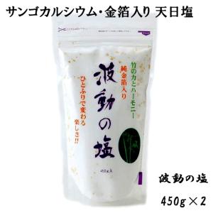 天日塩 食用塩 波動の塩 450g ×2 セット 波動法製造 純金箔入り エナジーソルト お清め｜arcdeux