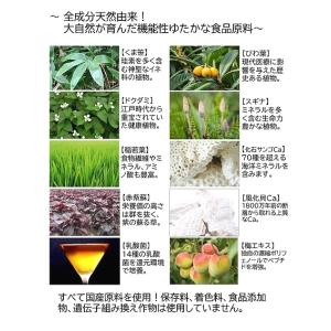 くま笹珪素 ウィルプラス 35g (約900ふ...の詳細画像1