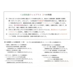 くま笹珪素 ウィルプラス 35g (約900ふ...の詳細画像3