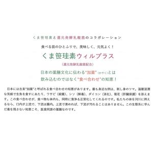 くま笹珪素 ウィルプラス 35g (約900ふ...の詳細画像4