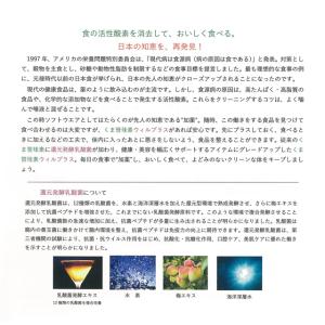 くま笹珪素 ウィルプラス 35g (約900ふ...の詳細画像5