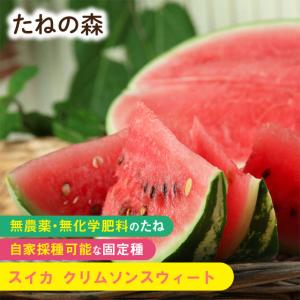 たねの森 スイカ クリムソンスウィート 野菜 種 無農薬 無化学肥料 固定種 自家採種｜arcdeux