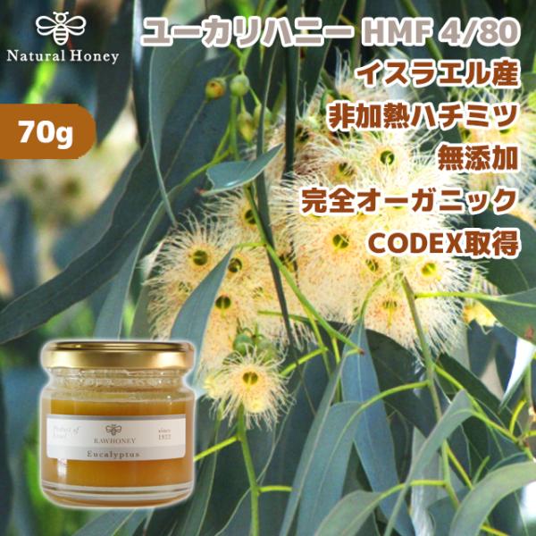 生ハチミツ RAWHONEY ユーカリ 70g イスラエル産 非加熱はちみつ 蜂蜜 ハチミツ HAC...