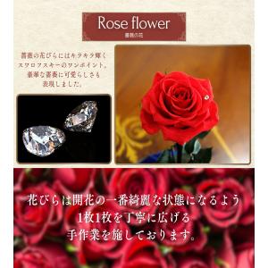 美女と野獣のバラ お名前とメッセージ彫刻込 バ...の詳細画像3