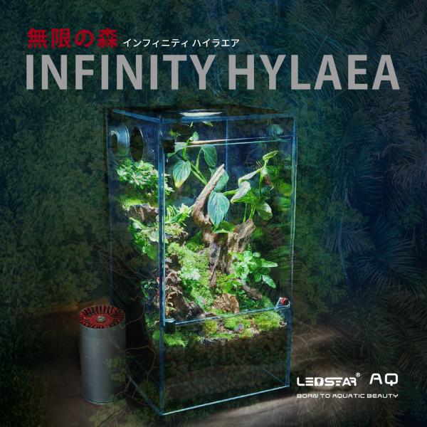 LEDSTAR 20×20 インフィニティ ハイライア テラリウム パルダリウム ライト ミスト 換...