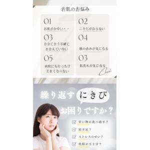 【日本製】顔ダニ・まつ毛ダニ・ニキビダニ対策石...の詳細画像3