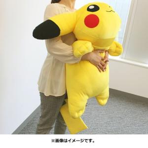 Pokemon（ポケモン） ポケモンセンターオリジナル ふわふわ抱き