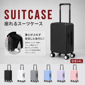 座れるキャリーバッグ ZUCA PRO Artist Silver/Black （ズーカ） 機内