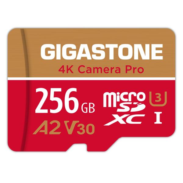 【5年データ復旧・無償交換保証】GIGASTONE マイクロsdカード 256GB 4K Camer...