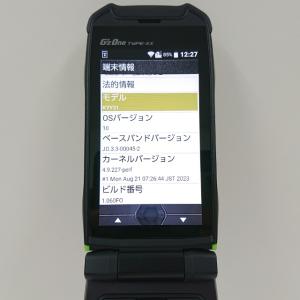 GzOne TYPE-XX KYY31 au ...の詳細画像3