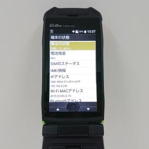 GzOne TYPE-XX KYY31 au ...の詳細画像4