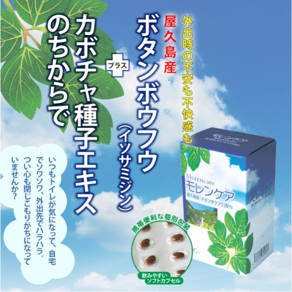 【正規販売店】モレンケア(90粒)[かぼちゃ種子エキス 屋久島産ボタンボウフラ 薬用かぼちゃ イソサ...