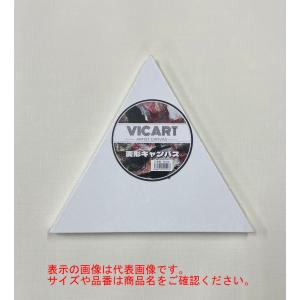 三角型 張りキャンバス 60cm (028440) ヴィックアート｜arcoasis2