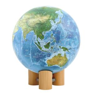 渡辺 地球儀 WM ラ・メール No.3055