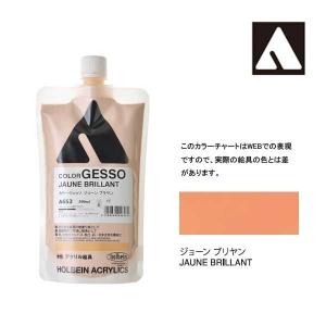 ホルベイン カラージェッソ 300ml A655 イエローオーカー 4655