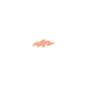 サンフォード カリスマカラー 色鉛筆 PC1001 Salmon Pink サーモンピンク