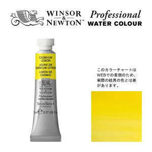 ウィンザー&ニュートン（WINSOR&NEWTON） W&N プロフェッショナル
