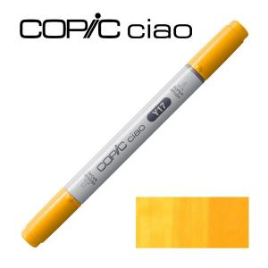 ターレンス 油絵具 ヴァンゴッホ 10色セット 紙箱入 T02C410 20ml(6号) 2mvetro Amazon | ターレンス 油絵具 ヴァンゴッホ 10色セット 紙箱入